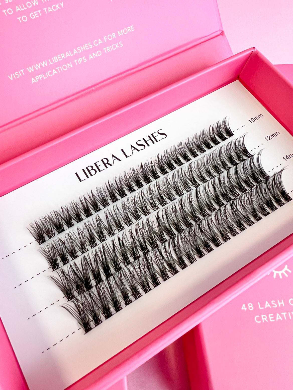 ARTIST BOX
